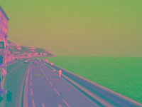 IMGP2719 edited (Medium)